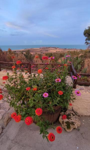 B&B Mare Calabria Capo Colonna Esterno foto